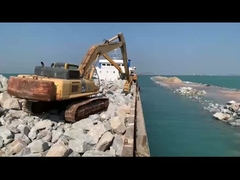 La excavadora lucha por la roca en el mar